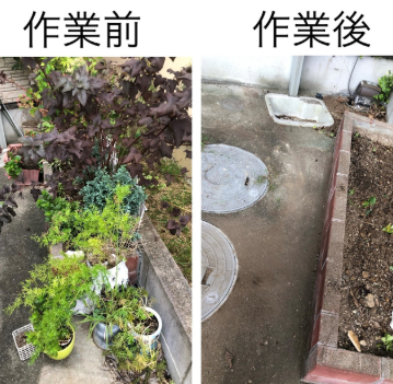 泉佐野の便利屋ぐちぱによる植木鉢・外まわり整理の作業前後