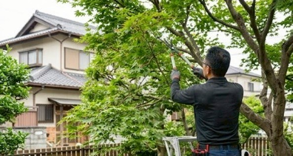 住宅の庭木を手入れするスタッフ